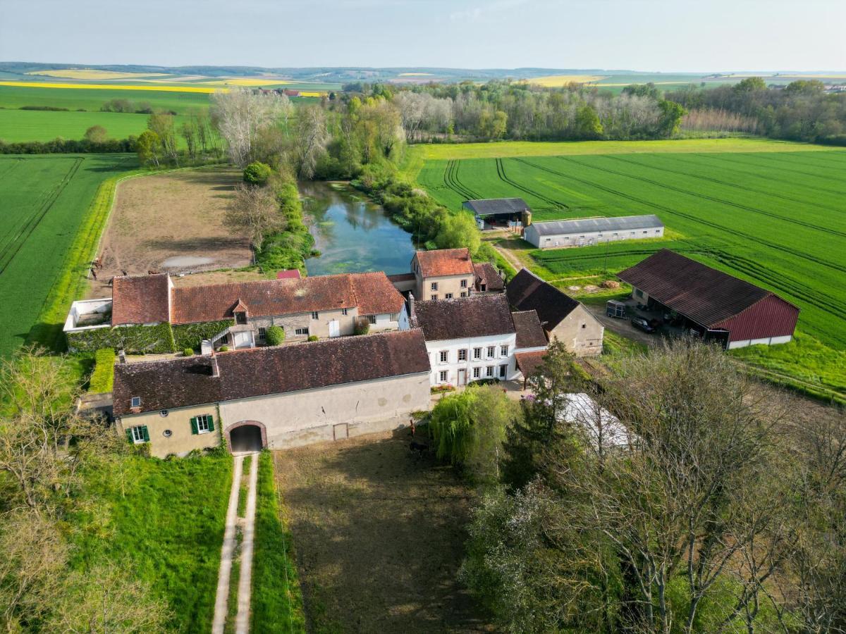 Le Moulin Neuf Villa Brienon-sur-Armançon Exteriör bild