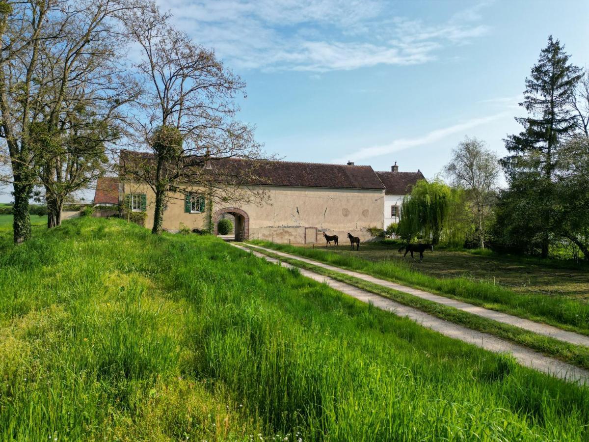 Le Moulin Neuf Villa Brienon-sur-Armançon Exteriör bild