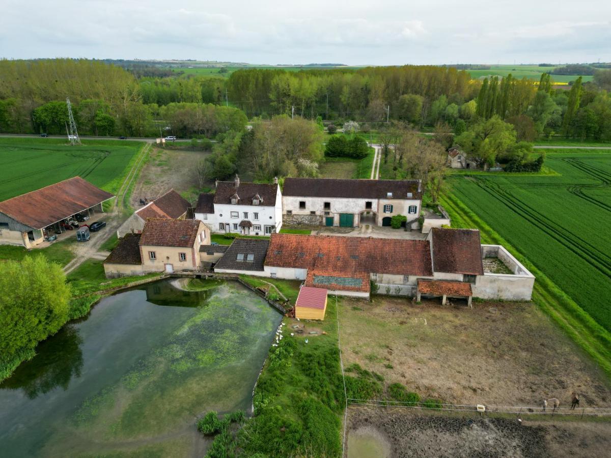 Le Moulin Neuf Villa Brienon-sur-Armançon Exteriör bild