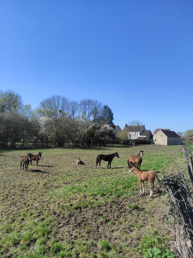 Le Moulin Neuf Villa Brienon-sur-Armançon Exteriör bild