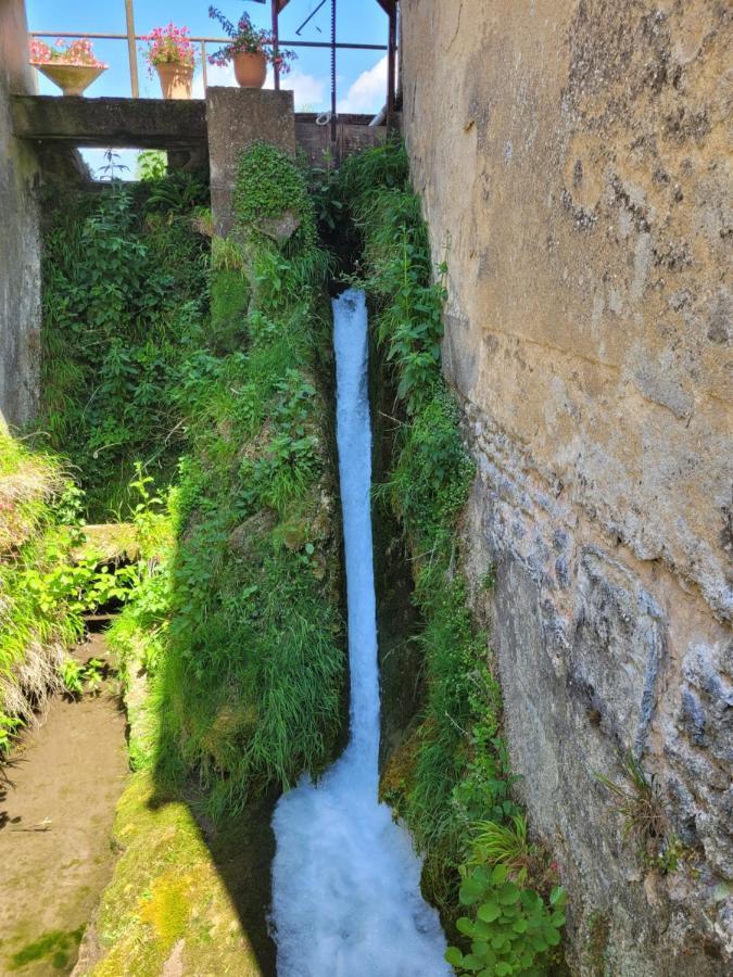 Le Moulin Neuf Villa Brienon-sur-Armançon Exteriör bild